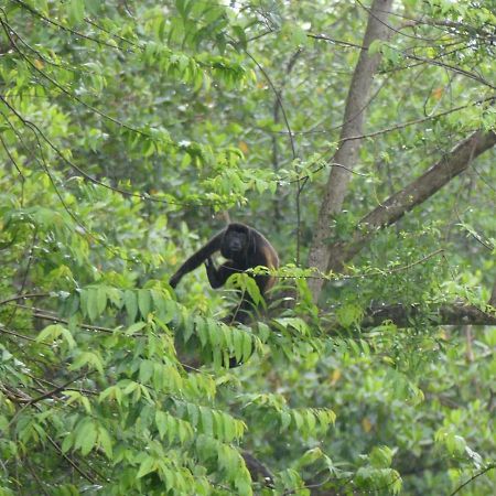 Panama Eco Resort Tierra Oscura Dış mekan fotoğraf