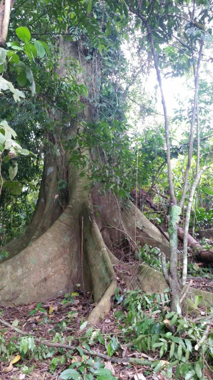 Panama Eco Resort Tierra Oscura Dış mekan fotoğraf