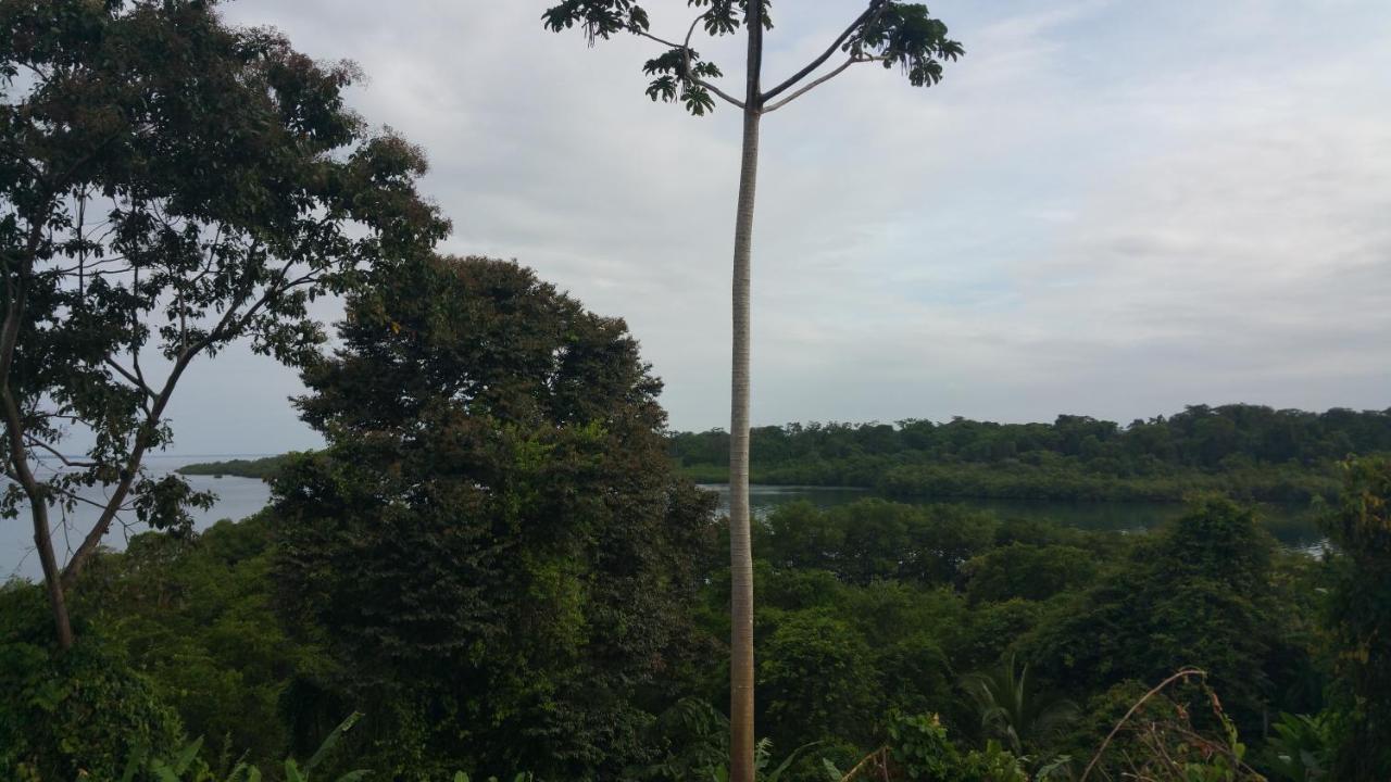 Panama Eco Resort Tierra Oscura Dış mekan fotoğraf