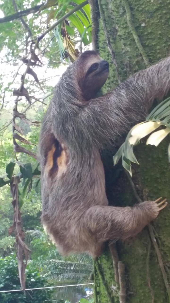 Panama Eco Resort Tierra Oscura Dış mekan fotoğraf
