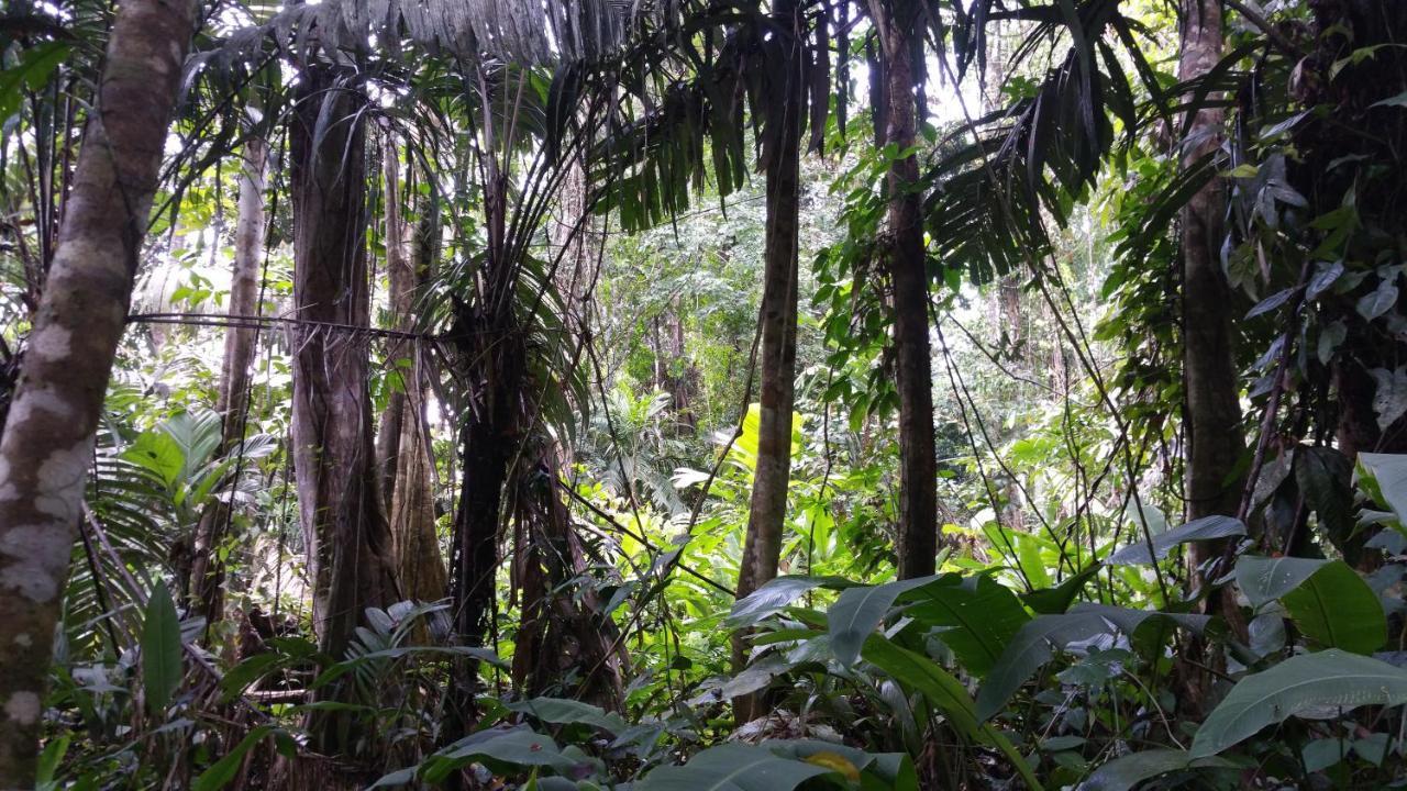 Panama Eco Resort Tierra Oscura Dış mekan fotoğraf