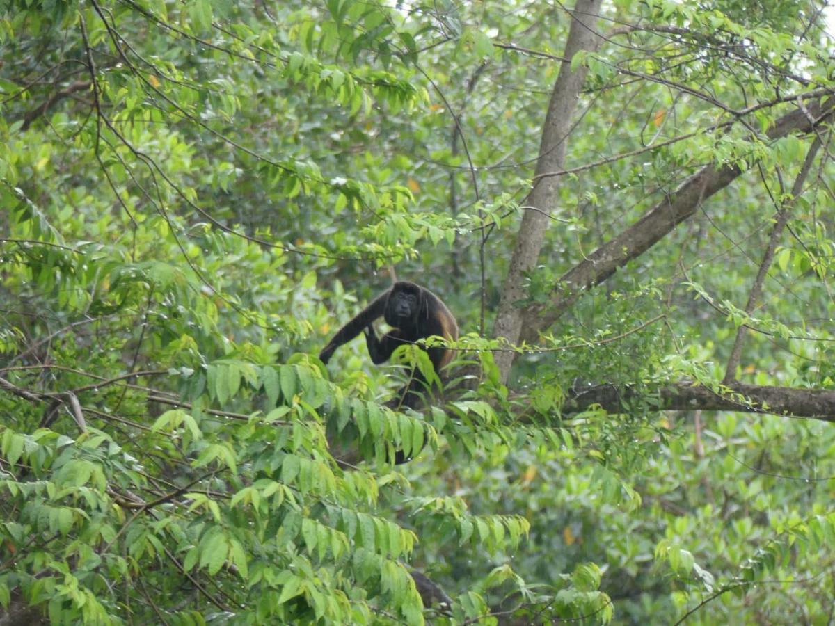 Panama Eco Resort Tierra Oscura Dış mekan fotoğraf